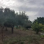 El Sitio De Su Recreo Hébergement de vacances *