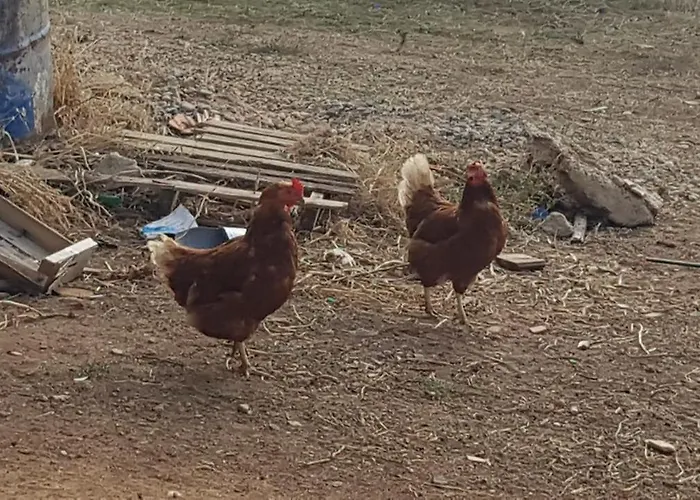 Hébergement de vacances El Sitio De Su Recreo