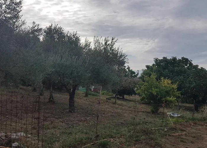 El Sitio De Su Recreo Hébergement de vacances *